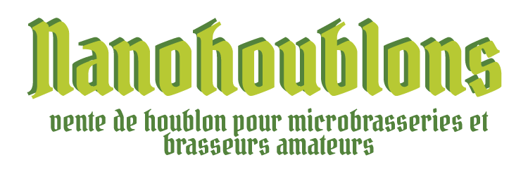 Nanohoublons